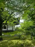 廣隆寺の{uncategorized: "未分類", other: "その他", undefined: "問題あり", building: "その他建物", grave: "お墓", sacred_gate: "鳥居", guardian: "狛犬", statue: "像", buddha: "仏像", history: "歴史", nature: "自然", garden: "庭園", animal: "動物", pagoda: "塔", temizu: "手水舎", mountain_gate: "山門・神門", sanctuary: "本殿・本堂", subordinate: "末社・摂社", art: "芸術", scenery: "景色", jizo: "地蔵", ema: "絵馬", goshuin: "御朱印", omikuji: "おみくじ", items: "授与品その他", amulet: "お守り", goshuincho: "御朱印帳", eats: "食事", festival: "お祭り", votive_dance: "神楽", shichigosan: "七五三参", wedding: "結婚式", experience: "体験その他", initially: "初詣", around: "周辺", anti_infection: "感染症対策"}