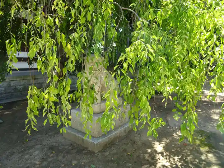 屯倉神社の狛犬