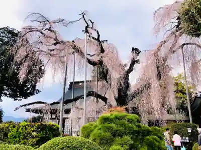 慈雲寺(山梨県)