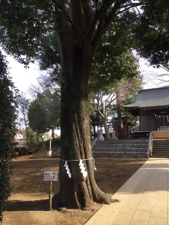 淡嶋神社(東京都)