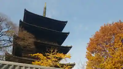 東寺(教王護国寺)の塔