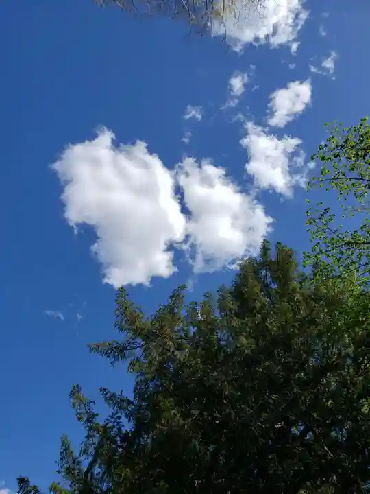 矢切神社の自然