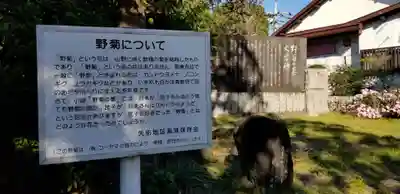 西蓮寺(千葉県)