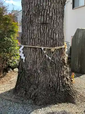 菖蒲神社の自然