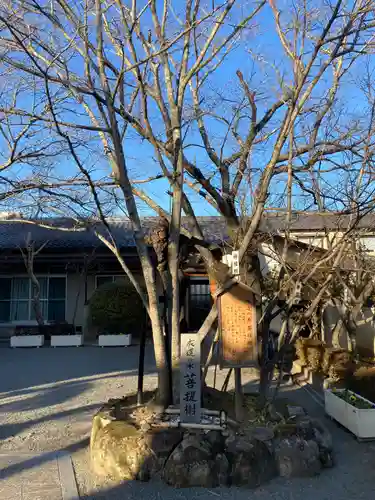 薬常寺のその他建物