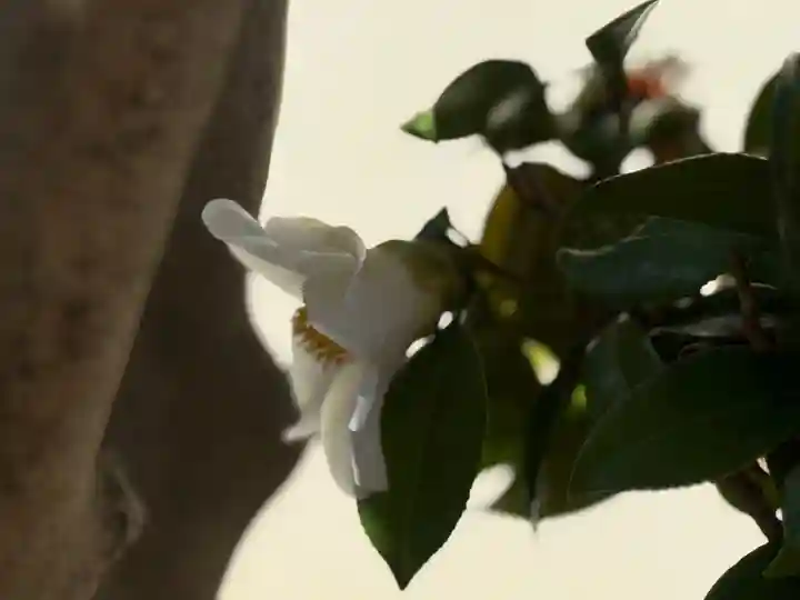 西方山極楽寺(岐阜県)