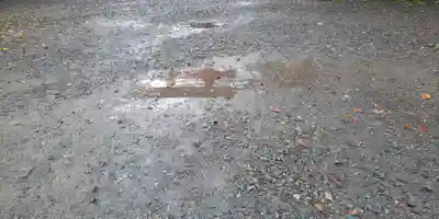 平野神社(京都府)