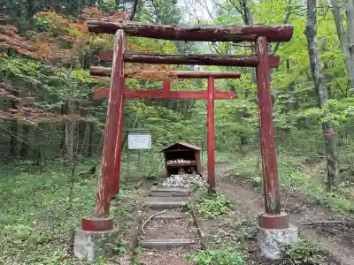 加護丸稲荷大明神の{uncategorized: "未分類", other: "その他", undefined: "問題あり", building: "その他建物", grave: "お墓", sacred_gate: "鳥居", guardian: "狛犬", statue: "像", buddha: "仏像", history: "歴史", nature: "自然", garden: "庭園", animal: "動物", pagoda: "塔", temizu: "手水舎", mountain_gate: "山門・神門", sanctuary: "本殿・本堂", subordinate: "末社・摂社", art: "芸術", scenery: "景色", jizo: "地蔵", ema: "絵馬", goshuin: "御朱印", omikuji: "おみくじ", items: "授与品その他", amulet: "お守り", goshuincho: "御朱印帳", eats: "食事", festival: "お祭り", votive_dance: "神楽", shichigosan: "七五三参", wedding: "結婚式", experience: "体験その他", initially: "初詣", around: "周辺", anti_infection: "感染症対策"}