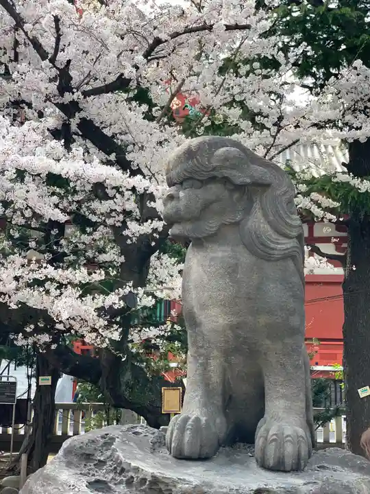 浅草神社の狛犬