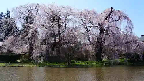 安養寺の景色