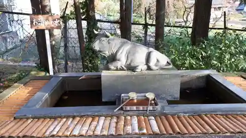 会津天満宮の狛犬