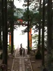 箱根神社の自然