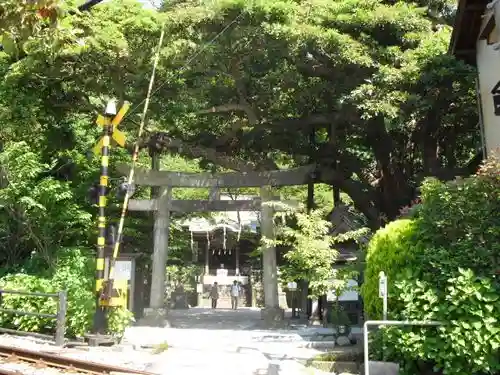 御霊神社の鳥居