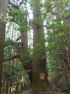 幣立神宮(熊本県)