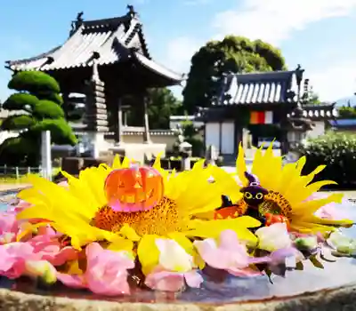 真言宗　善通寺派　薬王寺のその他建物