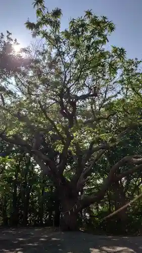 相馬神社(北海道)
