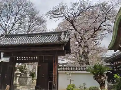 膳所神社(滋賀県)