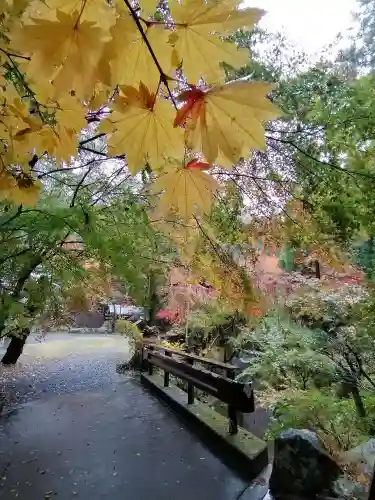 五所駒瀧神社の庭園