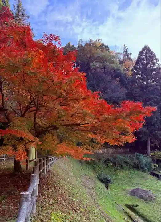 鶏足寺(滋賀県)
