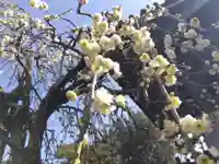 養泉寺(三重県)