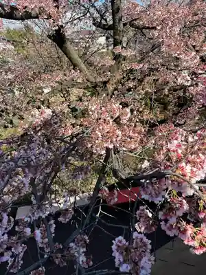 密藏院(埼玉県)