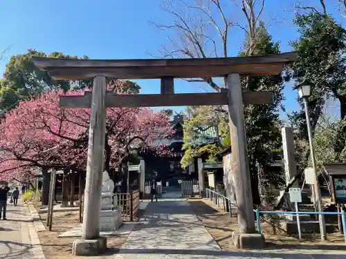 荏原神社の鳥居