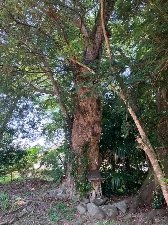 春日神社(京都府)