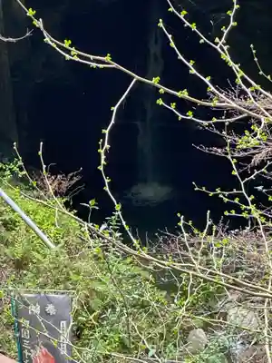 仙龍寺(愛媛県)