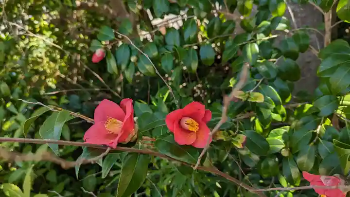 浄安寺(京都府)