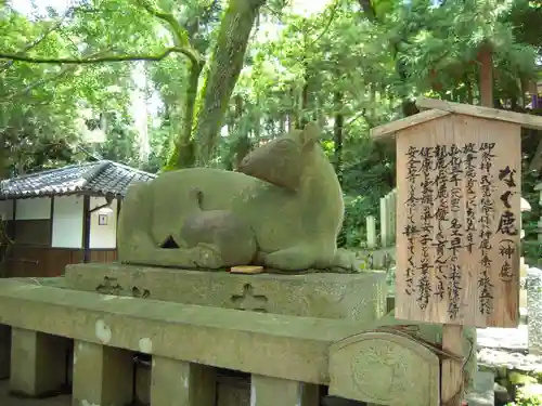 枚岡神社の狛犬