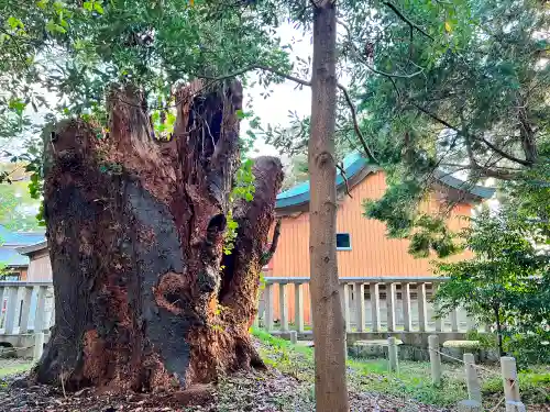 小浜神社の自然