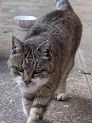 白金氷川神社(東京都)
