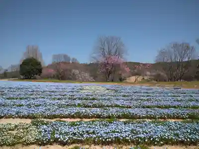 巳徳神社の周辺