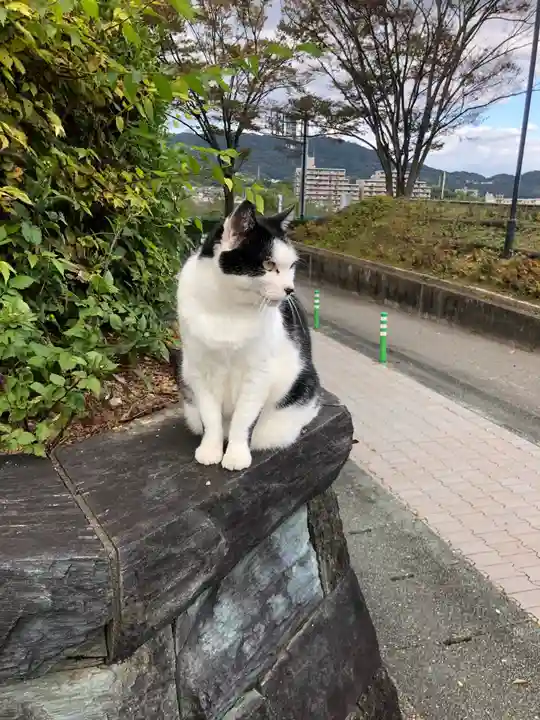 王子神社の動物