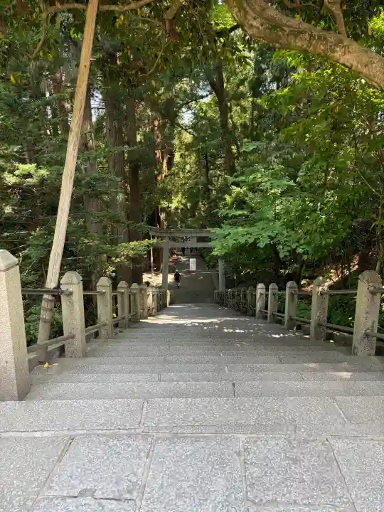 白山比咩神社の{uncategorized: "未分類", other: "その他", undefined: "問題あり", building: "その他建物", grave: "お墓", sacred_gate: "鳥居", guardian: "狛犬", statue: "像", buddha: "仏像", history: "歴史", nature: "自然", garden: "庭園", animal: "動物", pagoda: "塔", temizu: "手水舎", mountain_gate: "山門・神門", sanctuary: "本殿・本堂", subordinate: "末社・摂社", art: "芸術", scenery: "景色", jizo: "地蔵", ema: "絵馬", goshuin: "御朱印", omikuji: "おみくじ", items: "授与品その他", amulet: "お守り", goshuincho: "御朱印帳", eats: "食事", festival: "お祭り", votive_dance: "神楽", shichigosan: "七五三参", wedding: "結婚式", experience: "体験その他", initially: "初詣", around: "周辺", anti_infection: "感染症対策"}