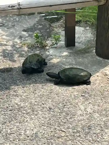 伊弉諾神宮の{uncategorized: "未分類", other: "その他", undefined: "問題あり", building: "その他建物", grave: "お墓", sacred_gate: "鳥居", guardian: "狛犬", statue: "像", buddha: "仏像", history: "歴史", nature: "自然", garden: "庭園", animal: "動物", pagoda: "塔", temizu: "手水舎", mountain_gate: "山門・神門", sanctuary: "本殿・本堂", subordinate: "末社・摂社", art: "芸術", scenery: "景色", jizo: "地蔵", ema: "絵馬", goshuin: "御朱印", omikuji: "おみくじ", items: "授与品その他", amulet: "お守り", goshuincho: "御朱印帳", eats: "食事", festival: "お祭り", votive_dance: "神楽", shichigosan: "七五三参", wedding: "結婚式", experience: "体験その他", initially: "初詣", around: "周辺", anti_infection: "感染症対策"}