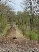 大國神社の自然