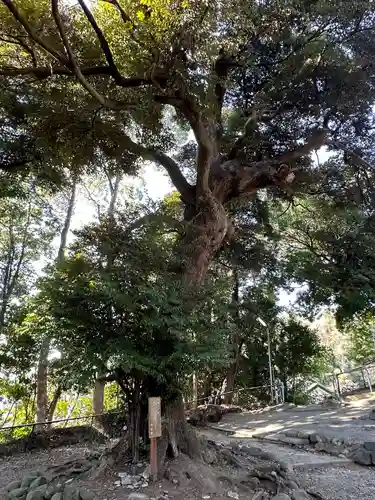 別所白山神社(神奈川県)