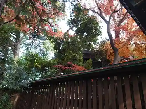城山熊野神社の本殿・本堂