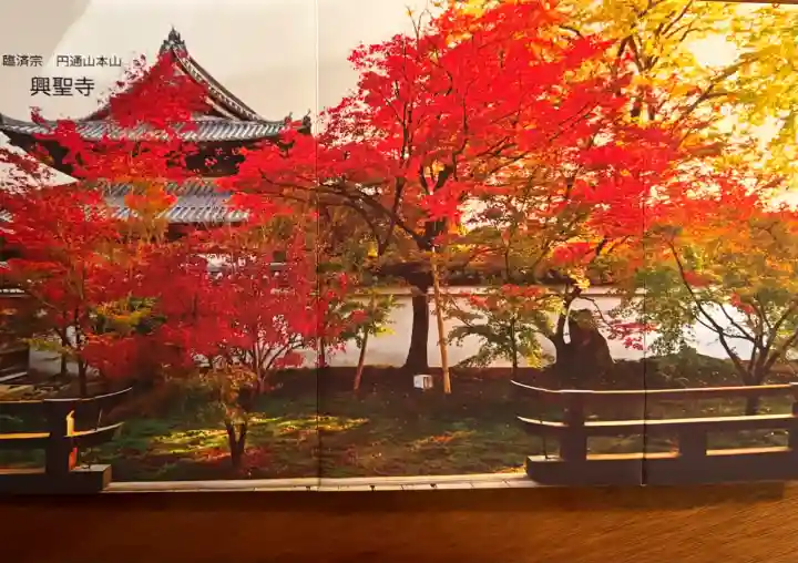 興聖寺の{uncategorized: "未分類", other: "その他", undefined: "問題あり", building: "その他建物", grave: "お墓", sacred_gate: "鳥居", guardian: "狛犬", statue: "像", buddha: "仏像", history: "歴史", nature: "自然", garden: "庭園", animal: "動物", pagoda: "塔", temizu: "手水舎", mountain_gate: "山門・神門", sanctuary: "本殿・本堂", subordinate: "末社・摂社", art: "芸術", scenery: "景色", jizo: "地蔵", ema: "絵馬", goshuin: "御朱印", omikuji: "おみくじ", items: "授与品その他", amulet: "お守り", goshuincho: "御朱印帳", eats: "食事", festival: "お祭り", votive_dance: "神楽", shichigosan: "七五三参", wedding: "結婚式", experience: "体験その他", initially: "初詣", around: "周辺", anti_infection: "感染症対策"}