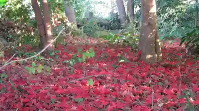 鵜川神社の庭園