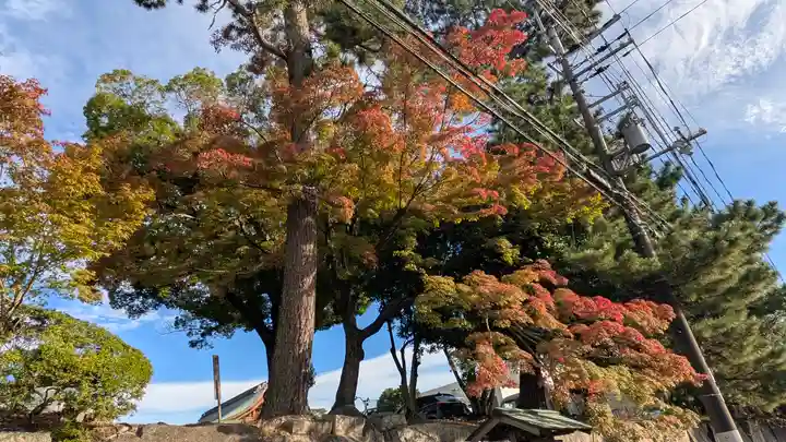 豊国神社(京都府)