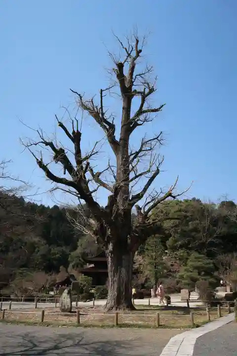永保寺(岐阜県)
