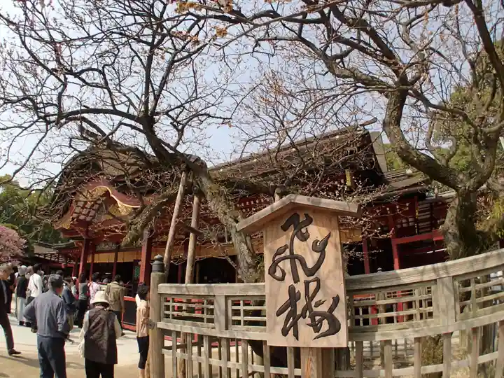 太宰府天満宮の本殿・本堂