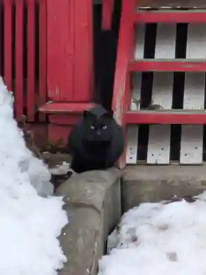 鹿角八坂神社(秋田県)