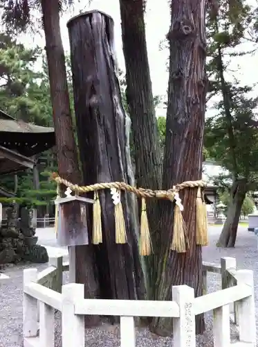 建部神社の自然