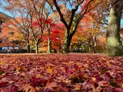 東福禅寺(東福寺)(京都府)