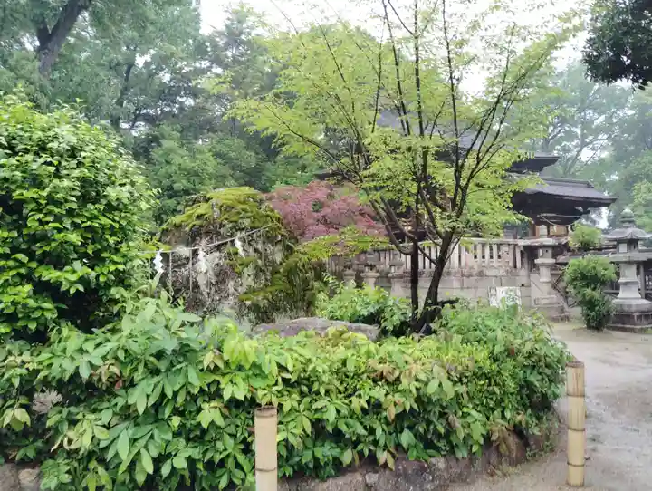 阿智神社の庭園
