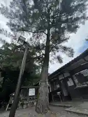 三輪神社(岐阜県)