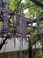 西方山極楽寺(岐阜県)